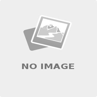 Rex Hardware Manual